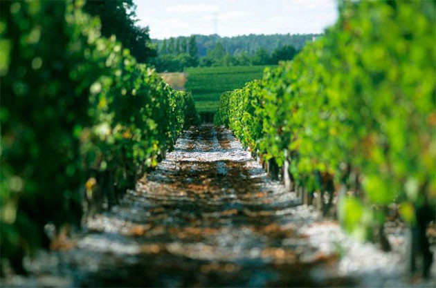 Bordeaux 2015 behind the scenes – part two