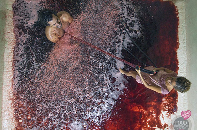 Wine Photographer of the Year 2016: The winners